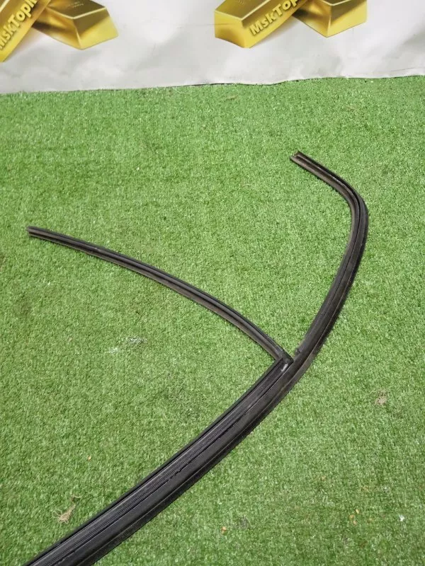 Уплотнитель стекла двери