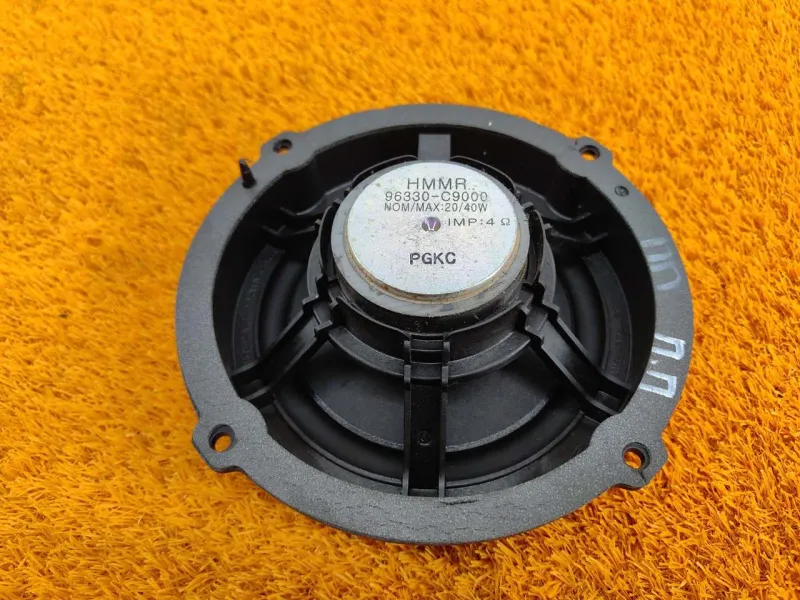 Динамик двери