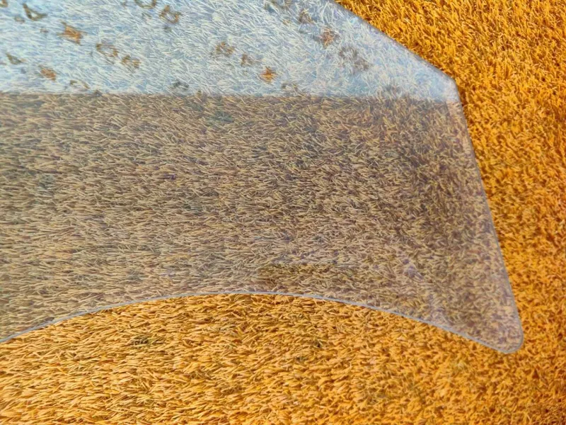 Стекло двери