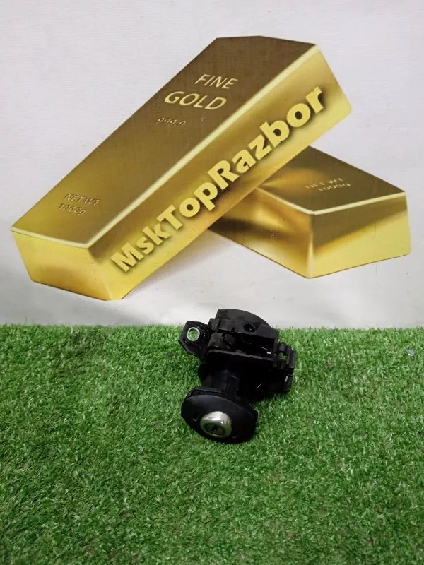 Личинка замка багажника