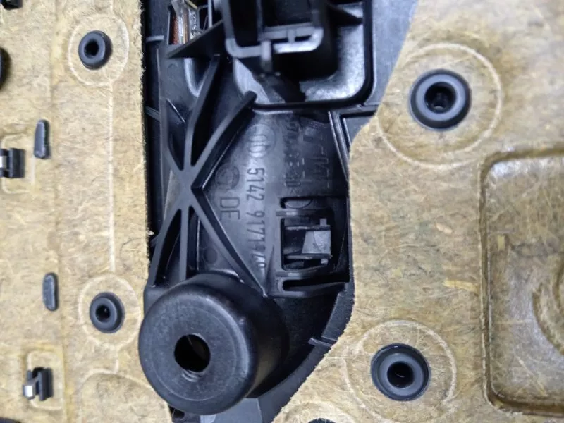 Обшивка двери BMW 5-Series 2012 1427273279 F10, задняя левая