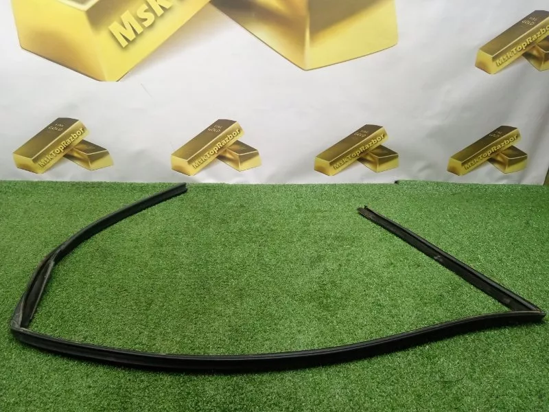 Уплотнитель стекла двери