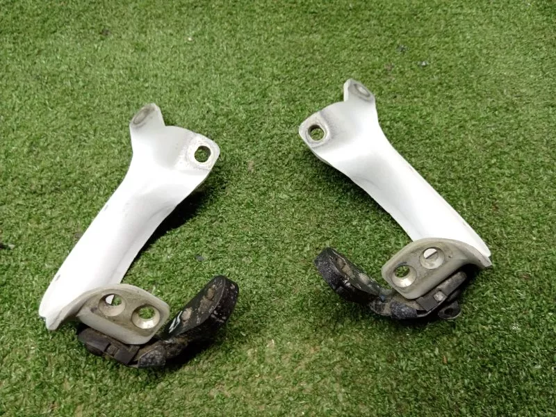 Петля двери багажника