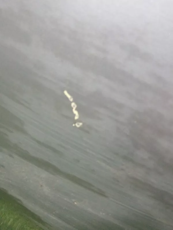 Дверь BMW 5-Series 2007 41517202339 E60, передняя левая