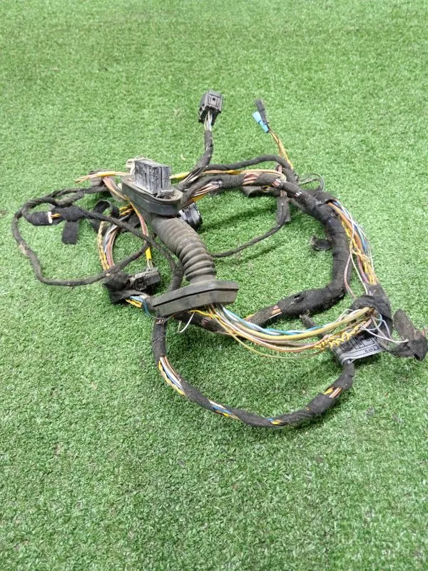 Проводка двери BMW X5 2003 692351101 E53, передняя левая