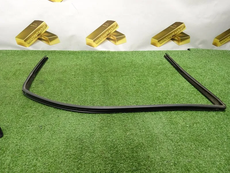 Уплотнитель стекла двери