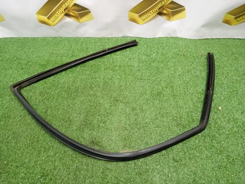 Уплотнитель стекла двери