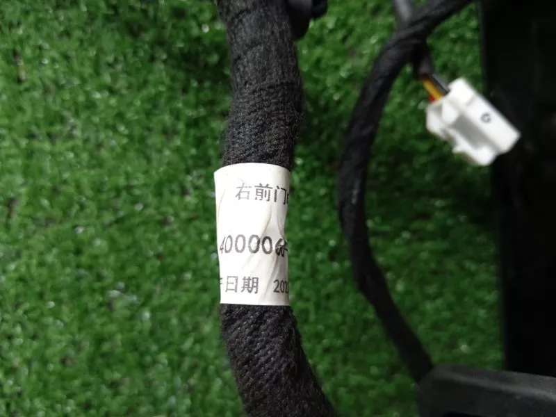 Проводка двери