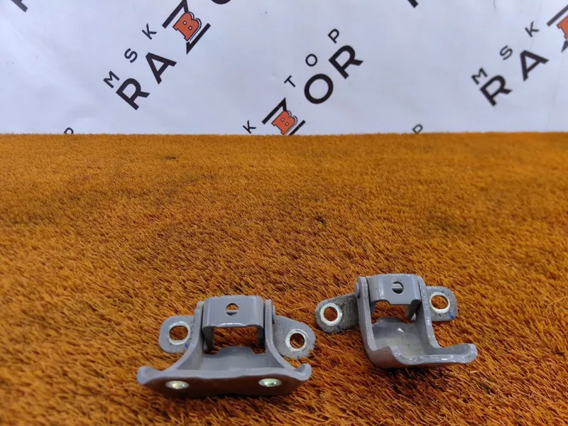 Петля двери