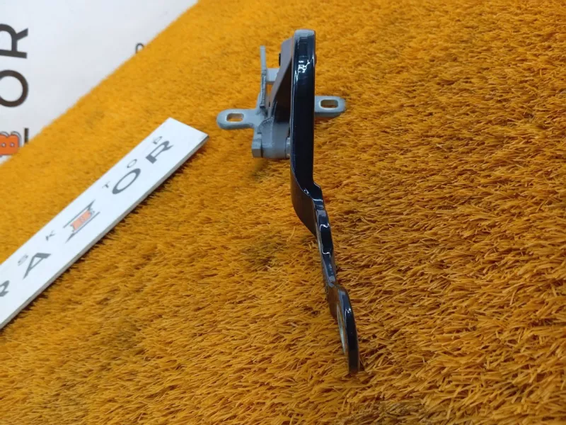 Петля двери багажника