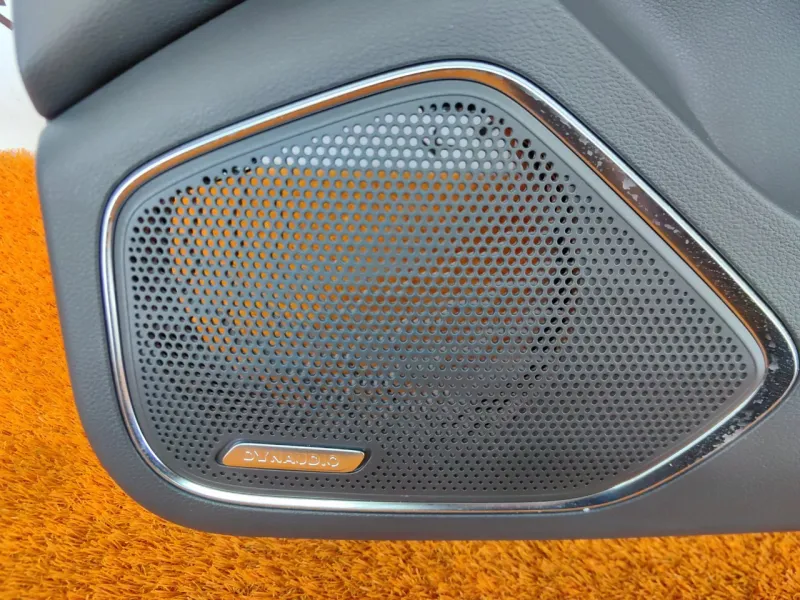 Обшивка двери