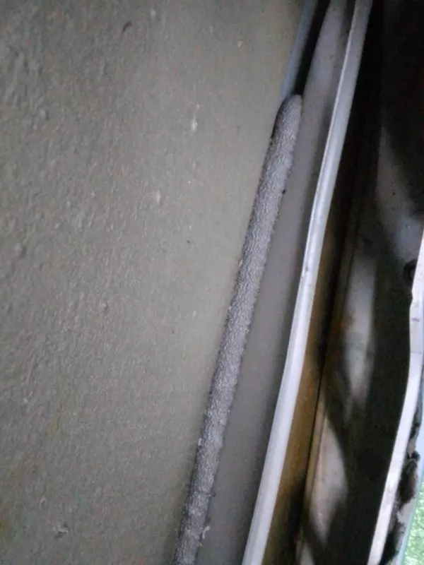 Дверь BMW 3-Series 2005 41007203644 E90, передняя правая