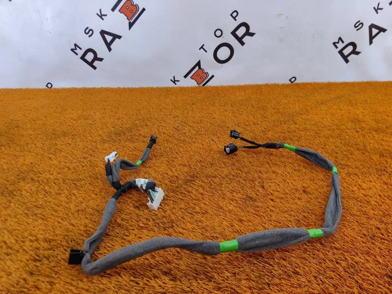 Проводка двери