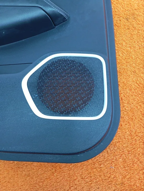 Обшивка двери