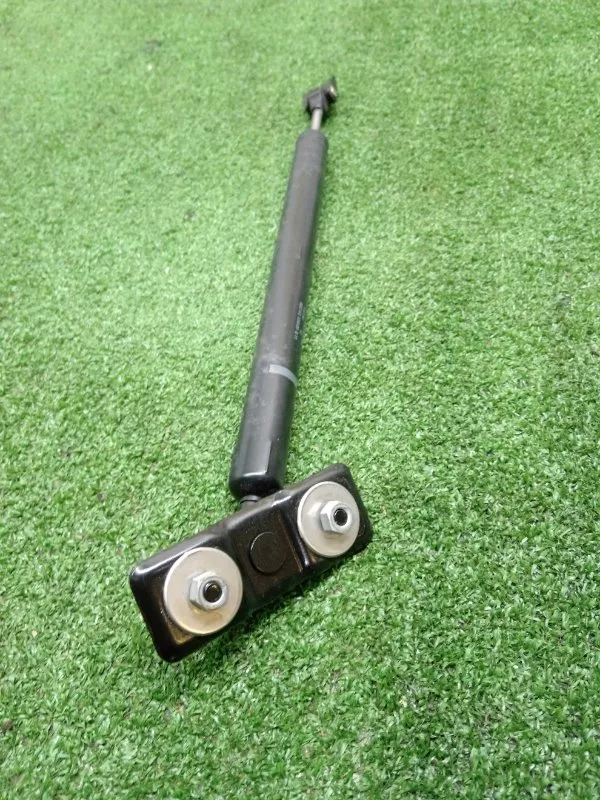 Ограничитель открывания двери BMW 7-Series 2009 51227177648 F01, задний правый