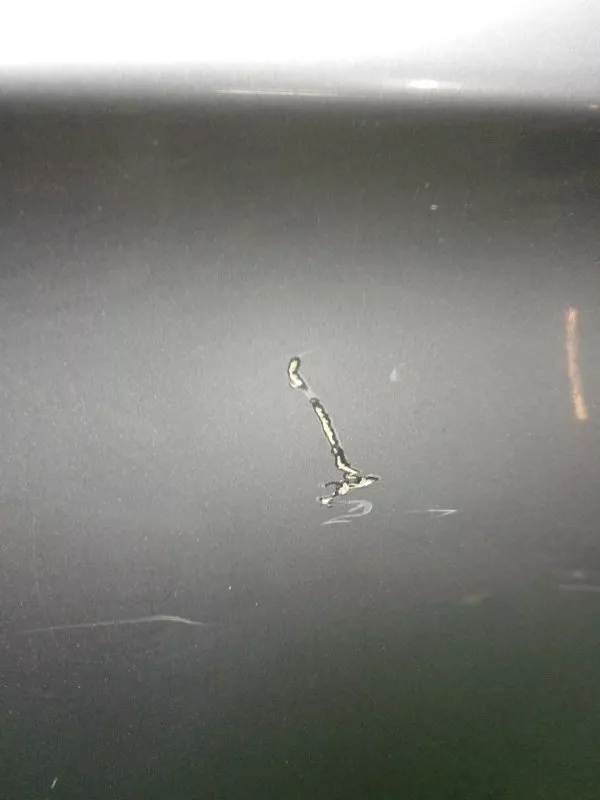 Дверь BMW 5-Series 2011 41007206113 F10, задняя левая