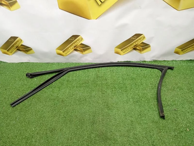 Уплотнитель стекла двери