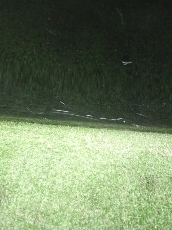 Дверь BMW 5-Series 2010 41007206113 F10, задняя левая