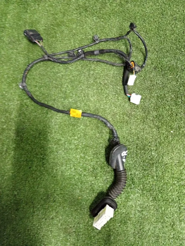 Проводка двери