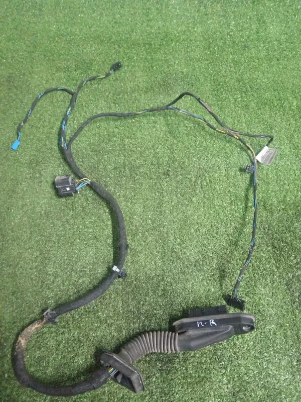 Проводка двери BMW X1 2011 61129269956 E84 N47D20C 75397700, передняя правая