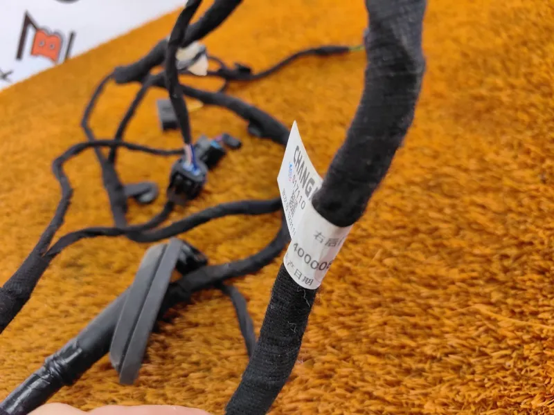 Проводка двери