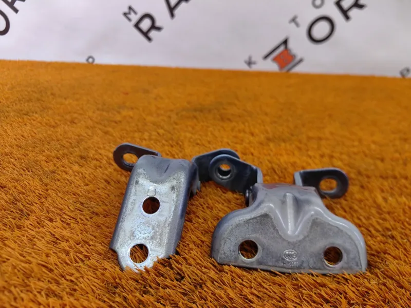 Петля двери