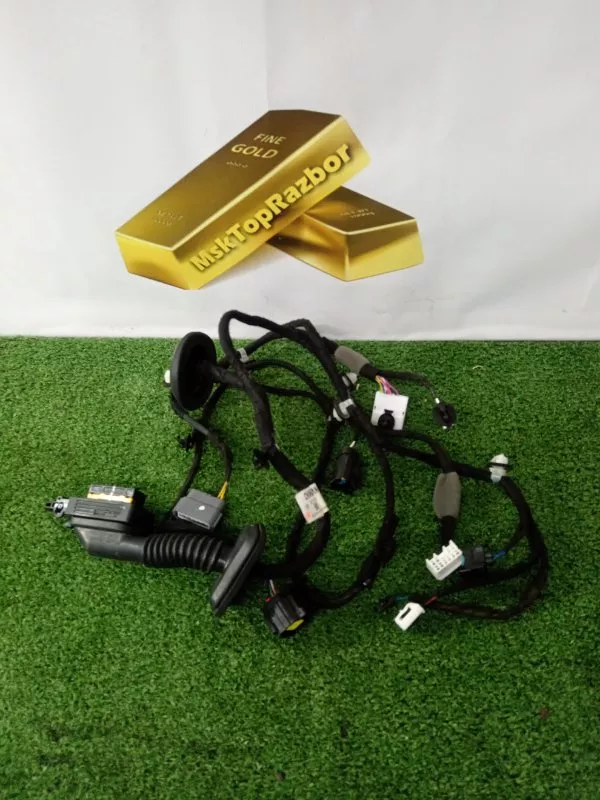 Проводка двери