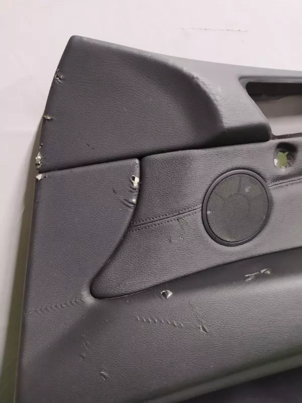 Обшивка двери BMW X5 2010 51419133496 E70, передняя правая