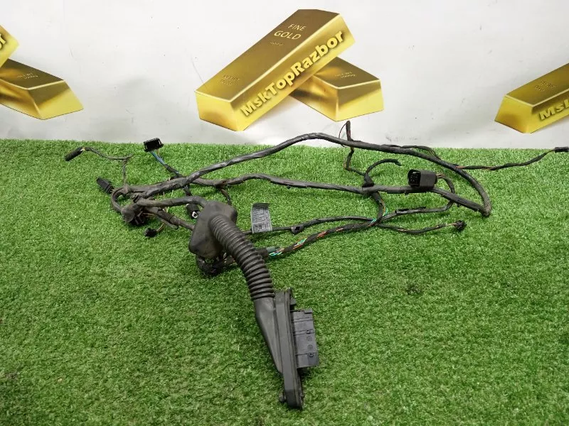 Проводка двери