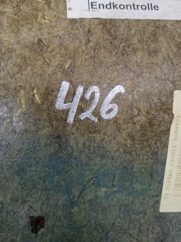 Обшивка двери BMW 5-Series 2006 51427078742 E60/E61, задняя правая