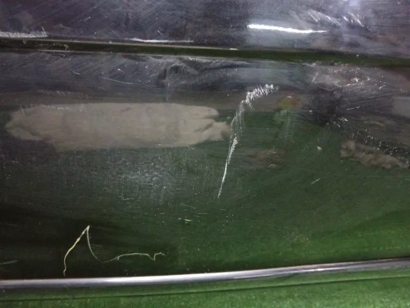 Дверь BMW 5-Series 2002 41518216818 E39, передняя правая