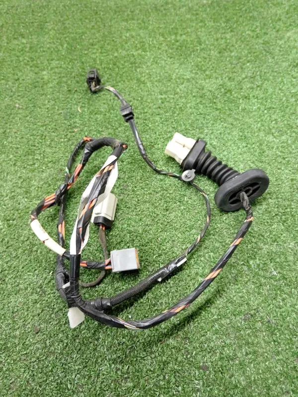 Проводка двери