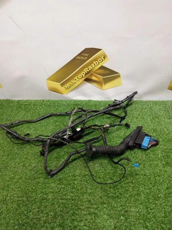 Проводка двери