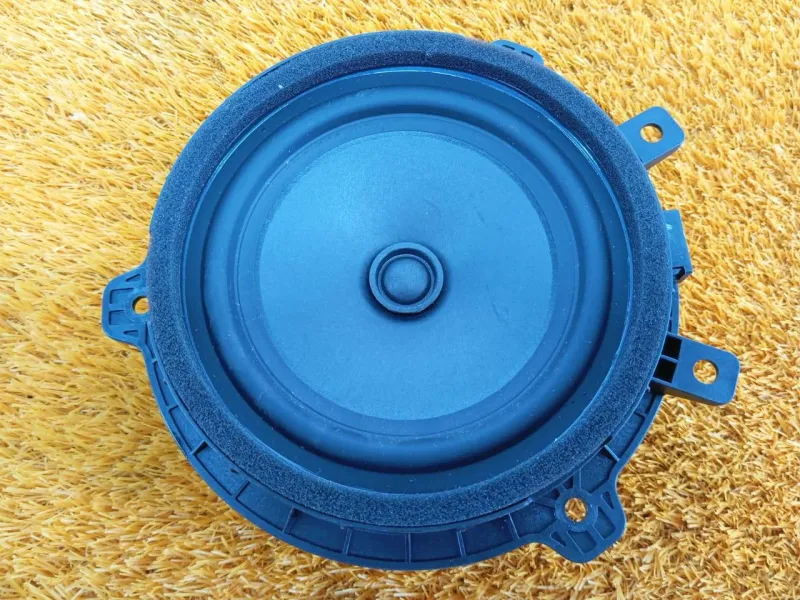 Динамик двери