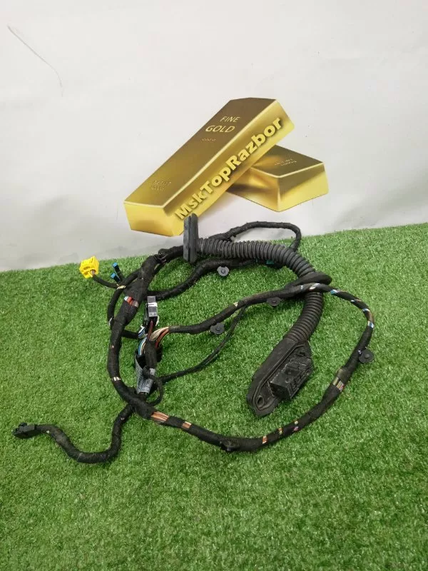 Проводка двери