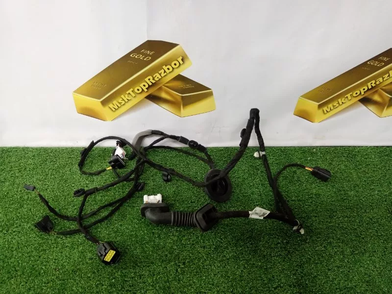 Проводка двери