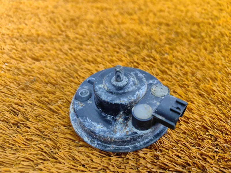 Звуковой сигнал