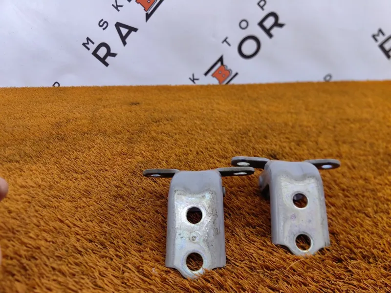 Петля двери