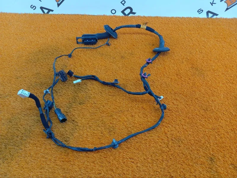 Проводка двери