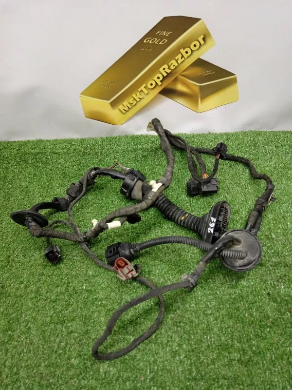 Проводка двери