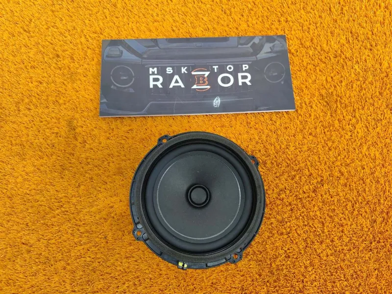 Динамик двери