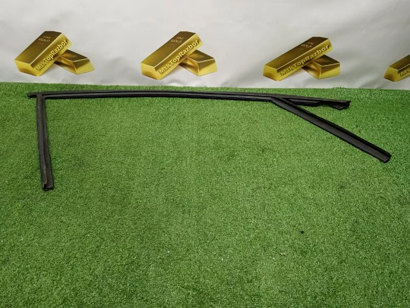 Уплотнитель стекла двери