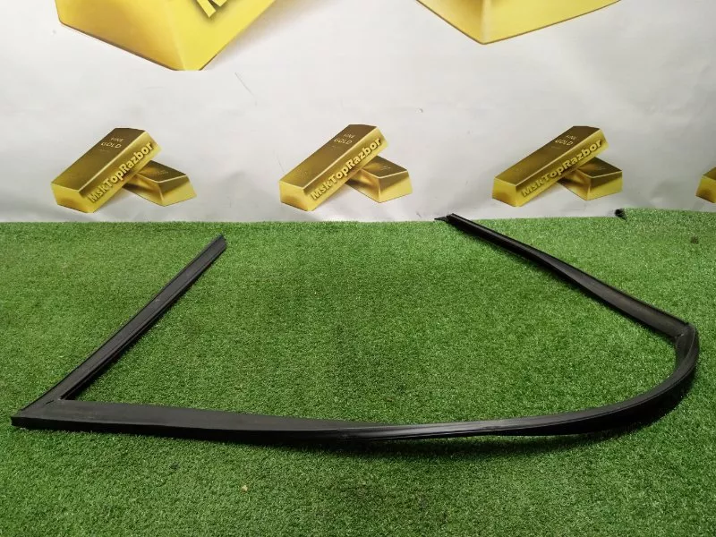 Уплотнитель стекла двери