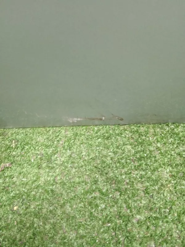 Дверь BMW 3-Series 2007 41007203675 E91, задняя левая