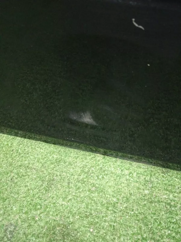 Дверь BMW 5-Series 2008 41517202339 E60/E61, передняя левая