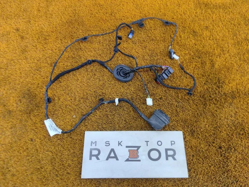 Проводка двери