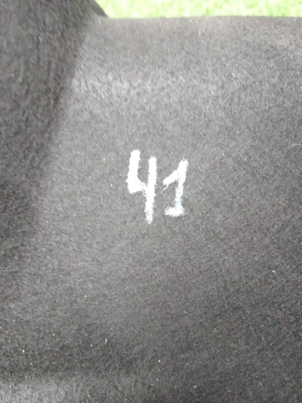 Обшивка двери багажника BMW 5-Series 2011 13648811 F10/F11, задняя