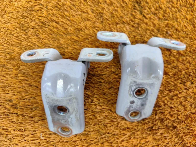 Петля двери