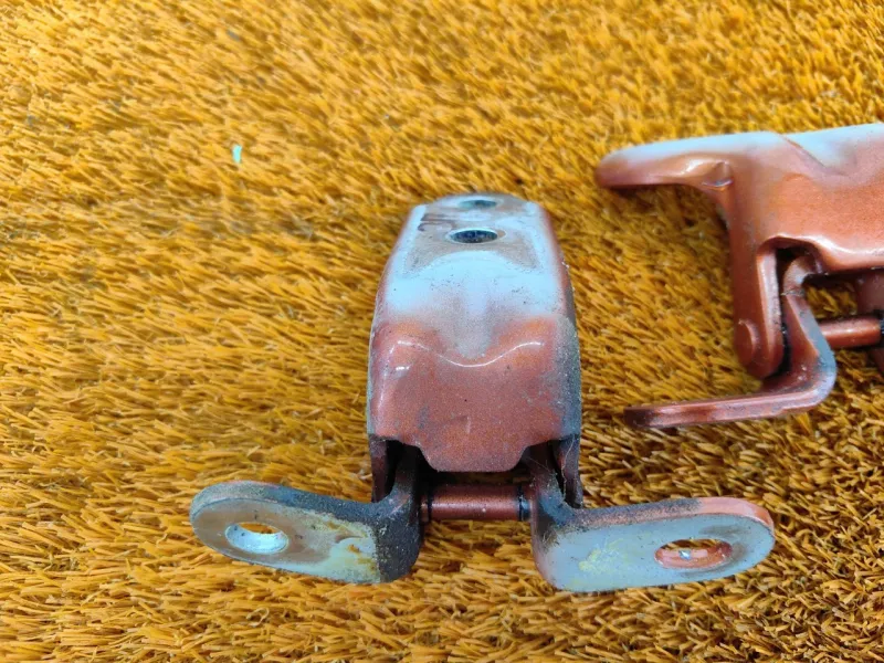 Петля двери