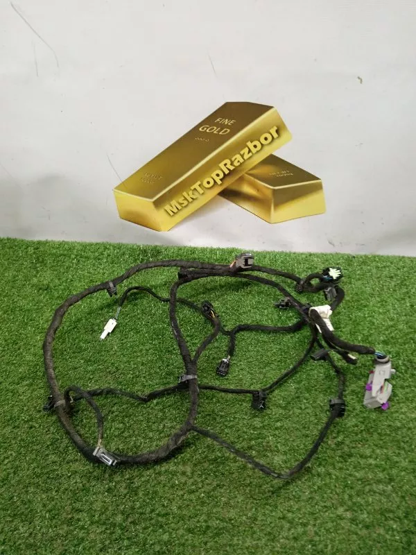 Проводка двери